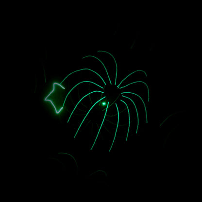 Light4Me PARTY LASER 1 RGB DMX lazerinis projektorius su skeneriu