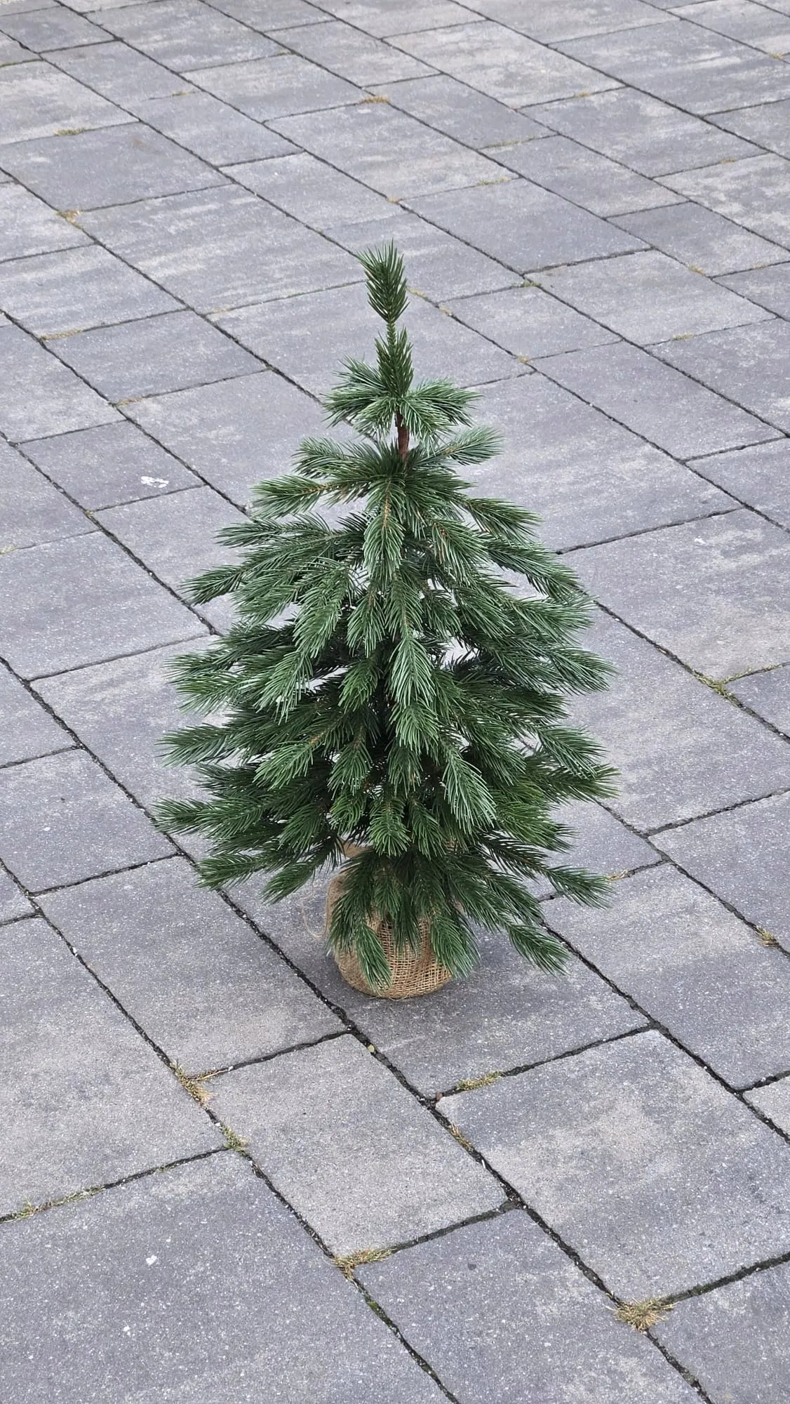 Maža dirbtinė eglutė LIMBA MINI, 60 cm, 100 % PE 3D, vazone su džiuto dekoru