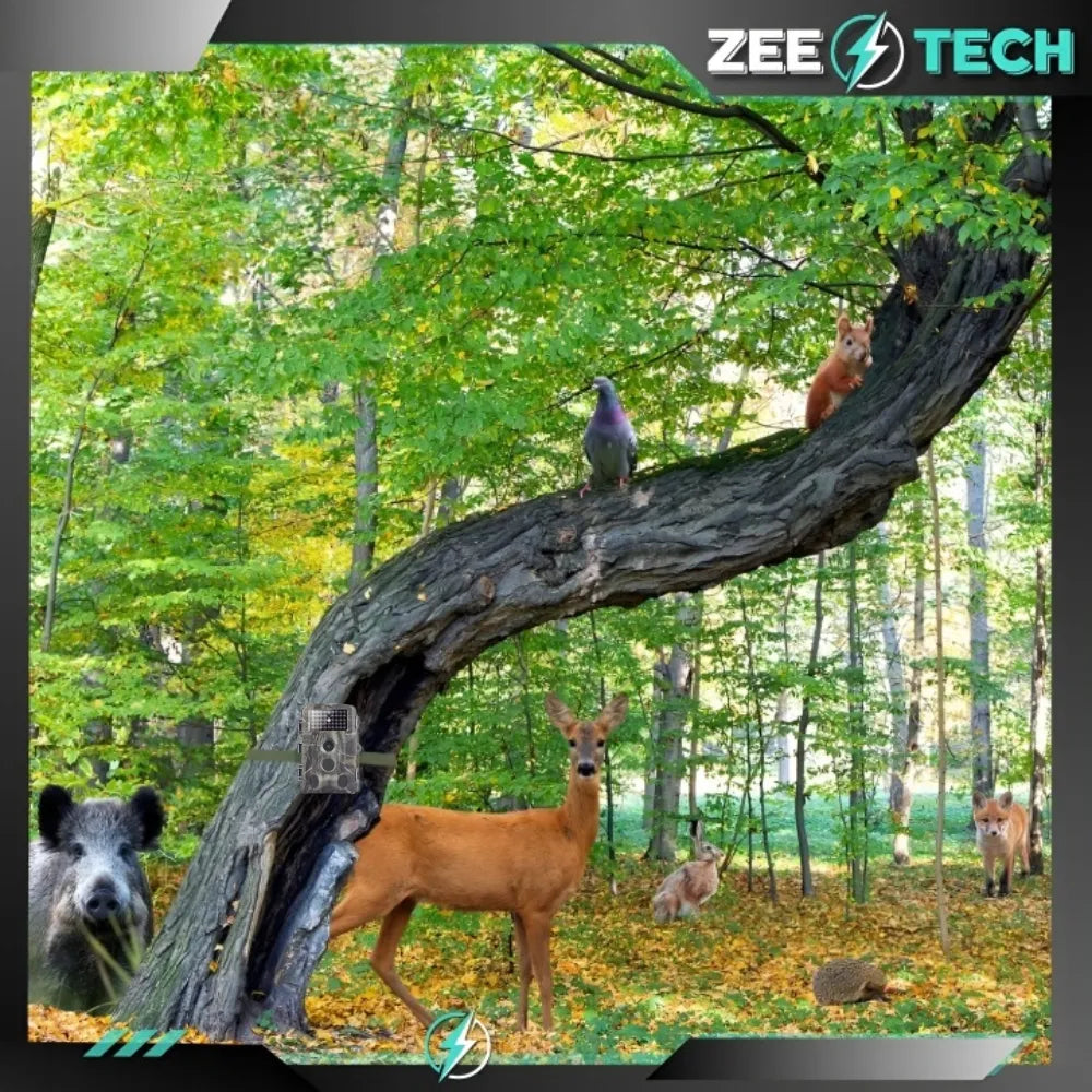 Medžioklės kamera ZeeTech HC-802A su judesio jutikliu, Full HD, IR naktiniu matymu ir lietuvišku meniu