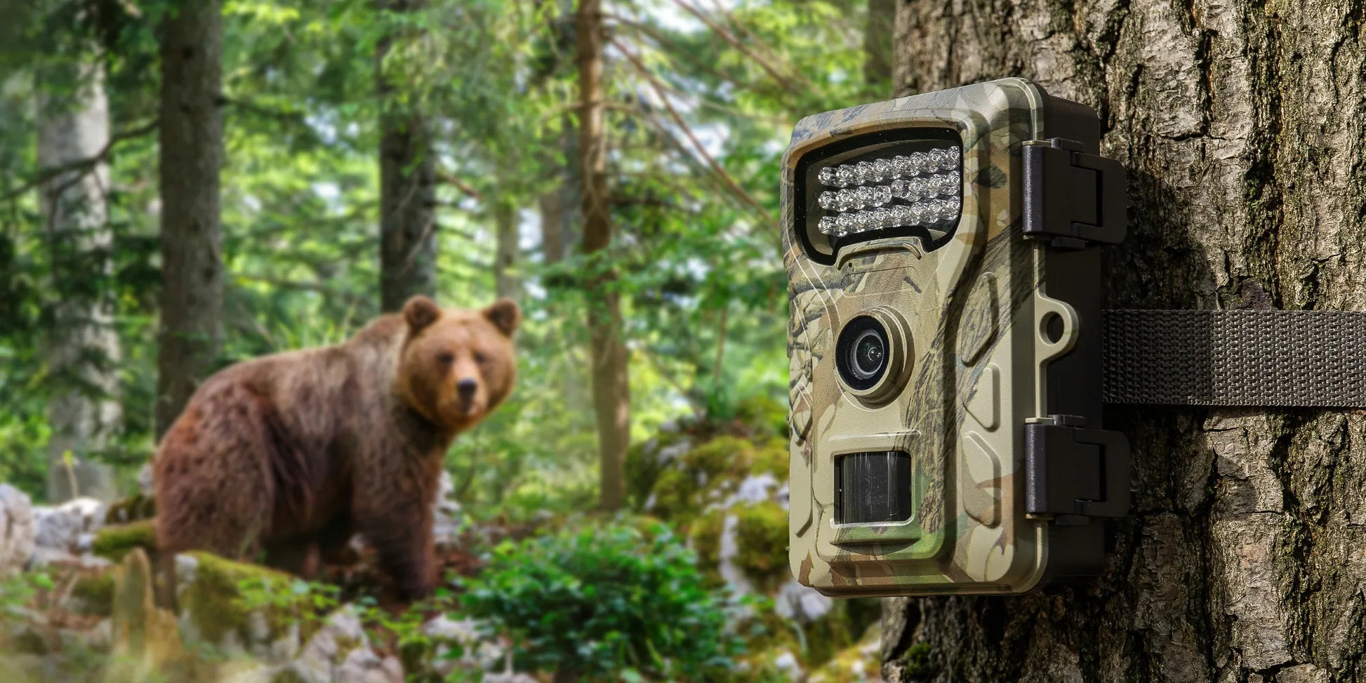Miško kamera - foto spąstai Redleaf RF06, 4K, 48MP, naktinis režimas