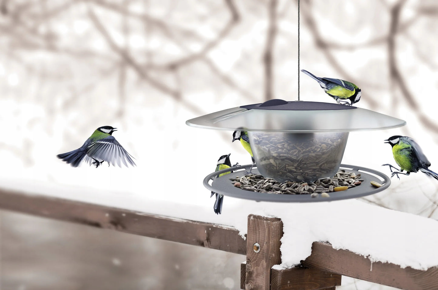 MODERNI LESYKLA PAUKŠČIAMS SU 1 KG GRŪDŲ BIRDYFEED ROUND TVIRTA