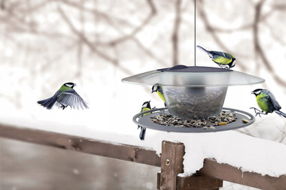 MODERNI LESYKLA PAUKŠČIAMS SU 1 KG GRŪDŲ BIRDYFEED ROUND TVIRTA