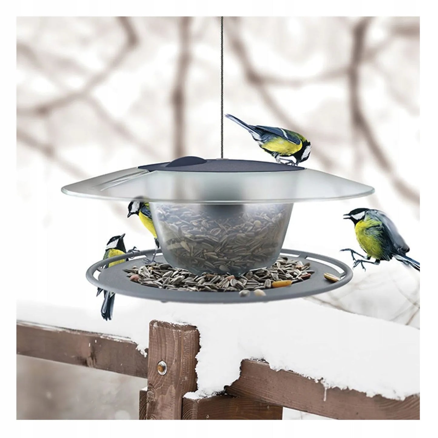 MODERNI LESYKLA PAUKŠČIAMS SU 1 KG GRŪDŲ BIRDYFEED ROUND TVIRTA