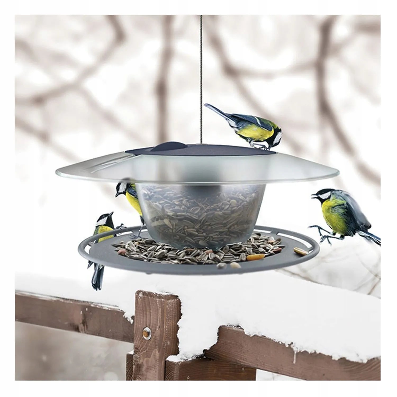 MODERNI LESYKLA PAUKŠČIAMS SU 1 KG GRŪDŲ BIRDYFEED ROUND TVIRTA