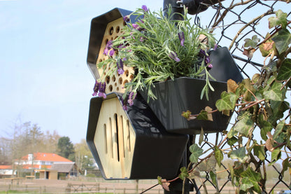 Modernus bičių viešbutis Capi Europe, rudas