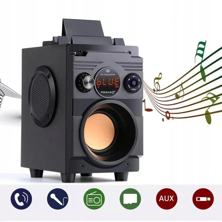Nešiojamoji „Bluetooth“ kolonėlė Feegar ShowJet su karaoke mikrofonu, 3,5 mm AUX