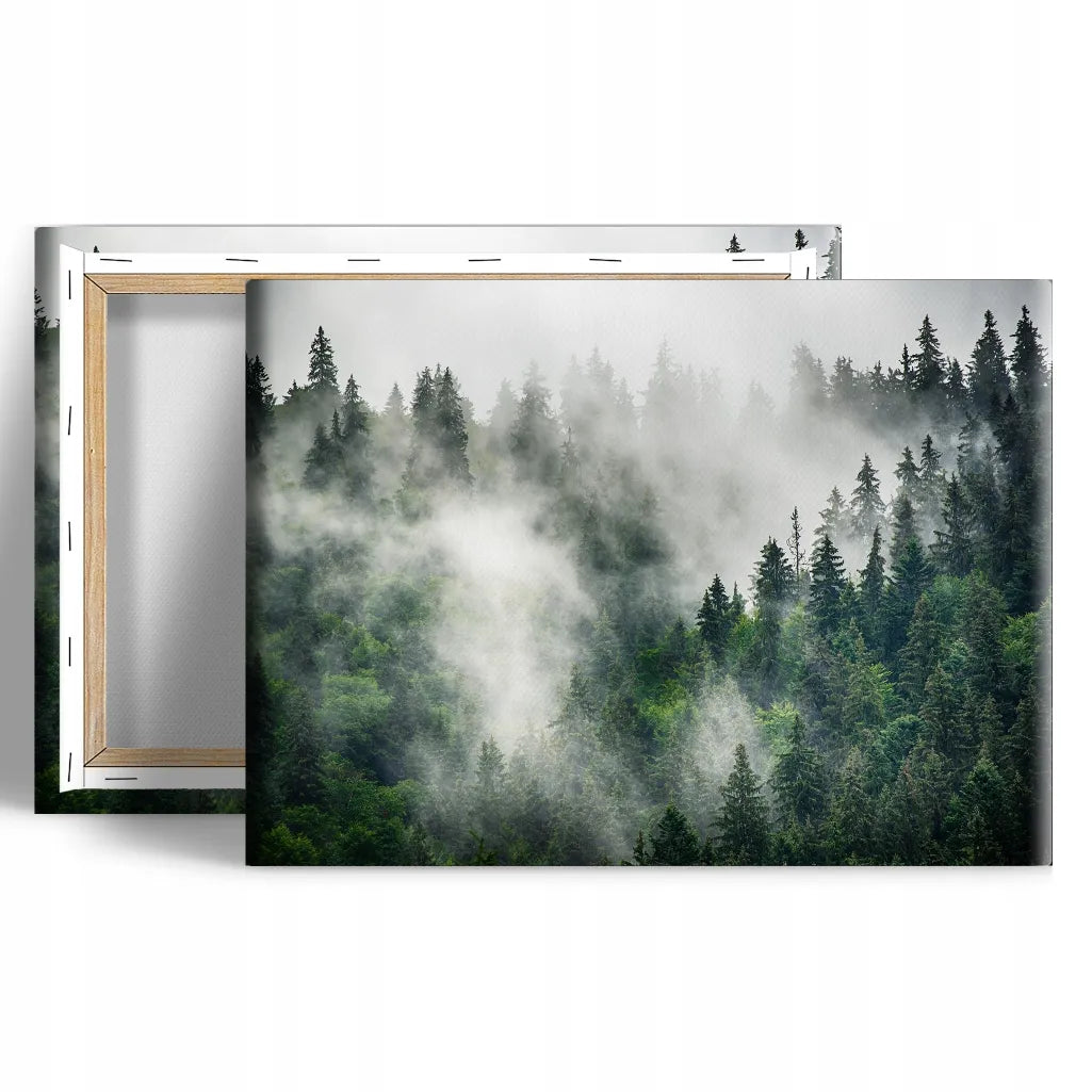 Paveikslas ant drobės 120 × 80 cm, miško ir medžių motyvas, C070