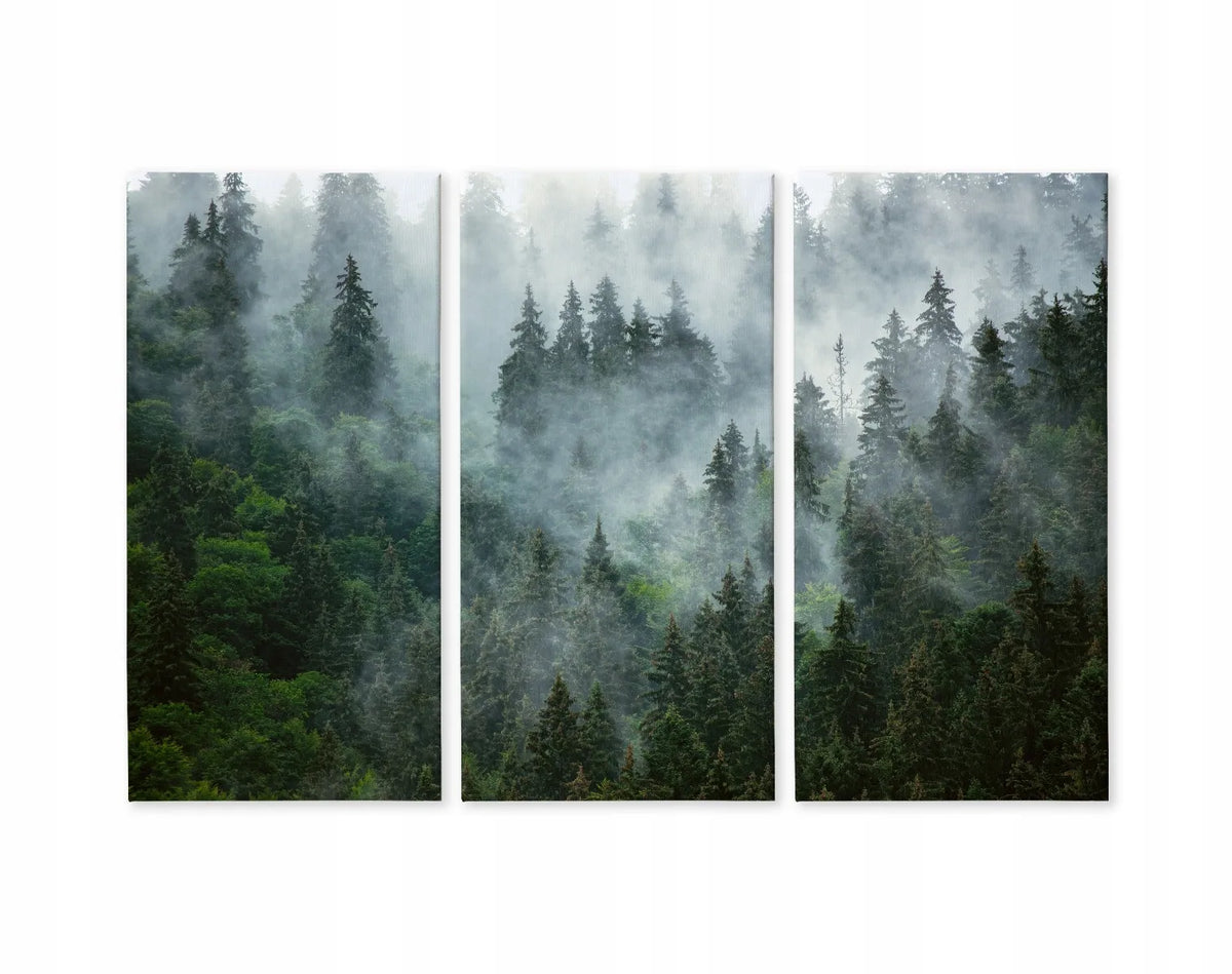 Paveikslų rinkinys svetainei „Miškas rūke“ – gamtos peizažas ant sienos, triptikas 120 × 80 cm