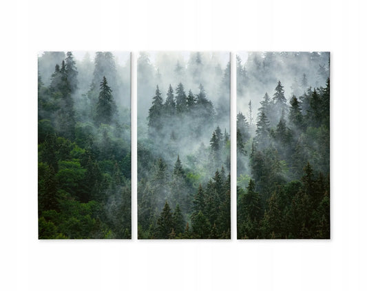 Paveikslų rinkinys svetainei „Miškas rūke“ – gamtos peizažas ant sienos, triptikas 120 × 80 cm