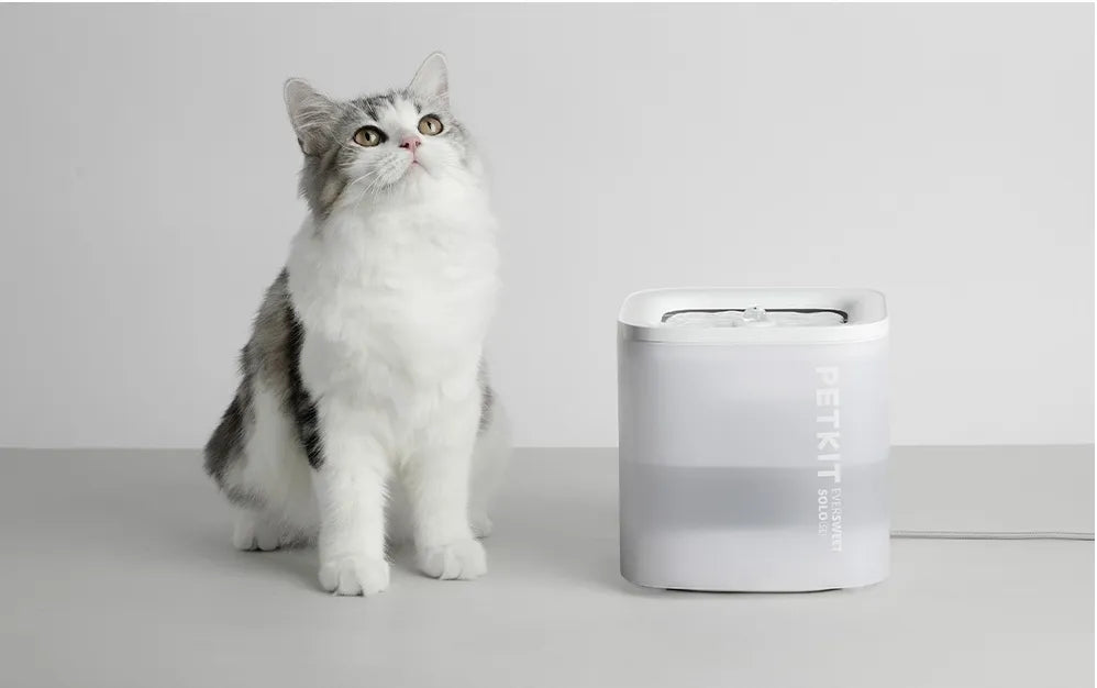PETKIT Eversweet SOLO SE gertuvė-fontanėlis šunims ir katėms, balta, 1,8 l