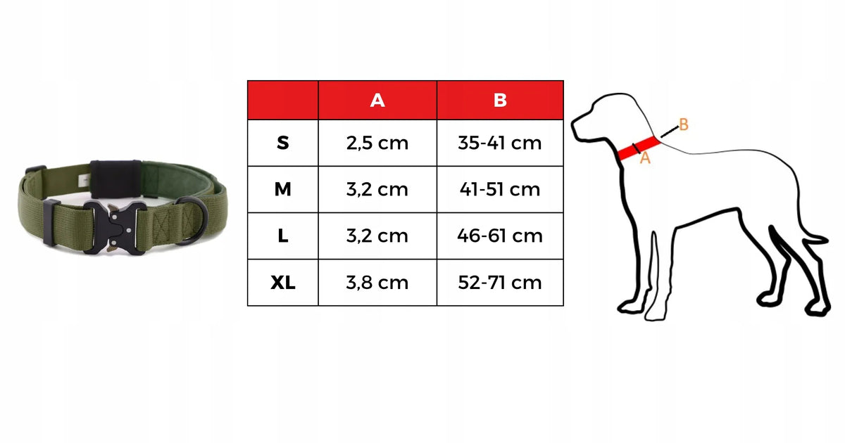 Platus tvirtas HUGGY DOGGY XL šuns antkaklis su rankena, žalias