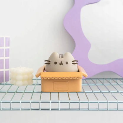 Pusheen – vinilinė taupyklė Kawaii