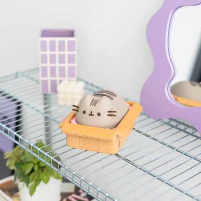 Pusheen – vinilinė taupyklė Kawaii