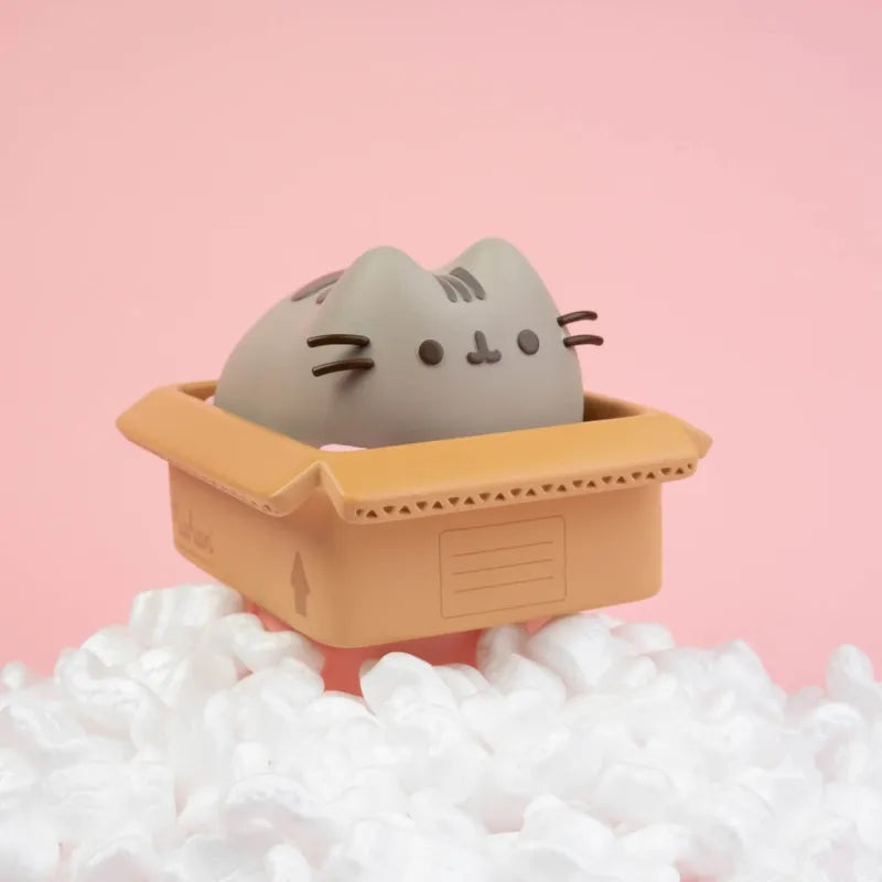 Pusheen – vinilinė taupyklė Kawaii