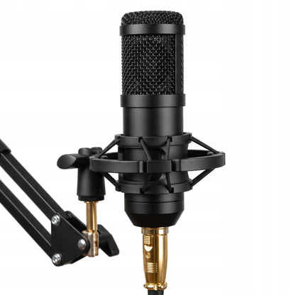 RETOO ER1189 kondensatorinis studijinis USB mikrofonas su stovu ir pop filtru