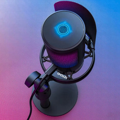 RETOO ER1190 USB kondensatorinis žaidimų mikrofonas kompiuteriui su pop filtru ir nutildymo funkcija