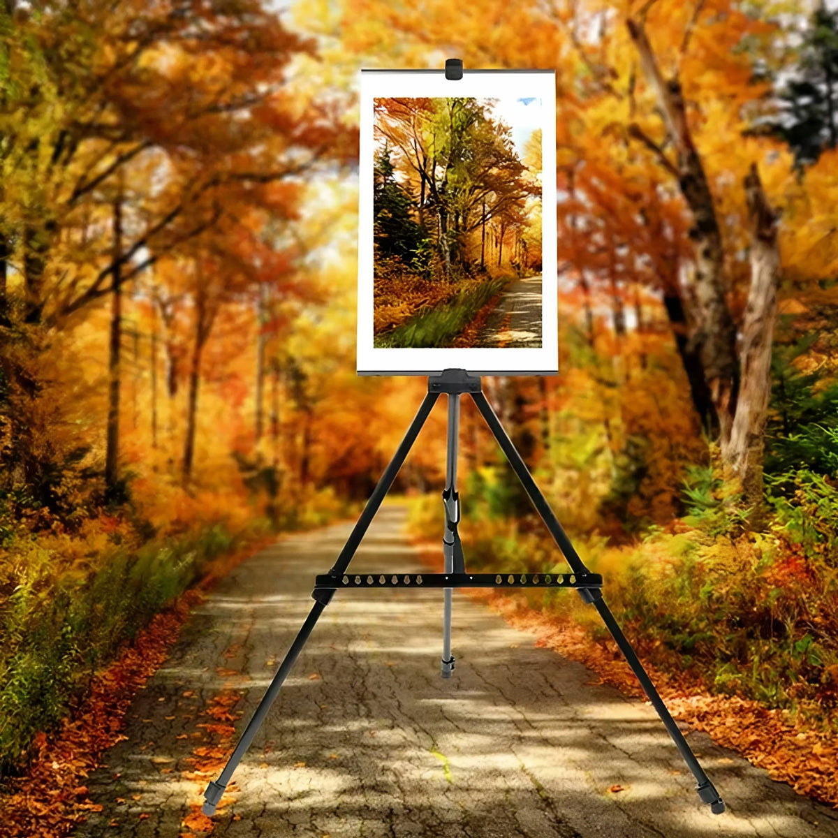 RETOO O004 trijų kojų lauko molbertas, 158 cm, su dėklu
