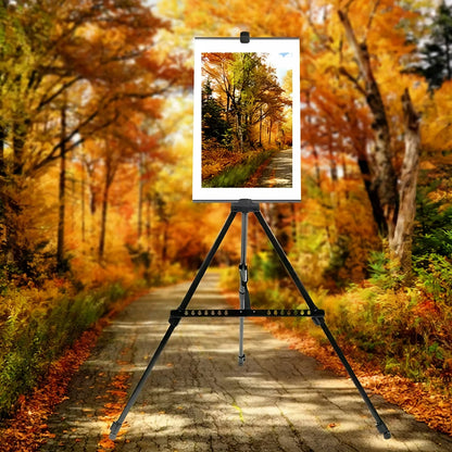 RETOO O004 trijų kojų lauko molbertas, 158 cm, su dėklu