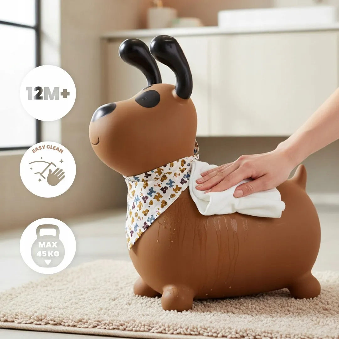 „Sun Baby REKSIO“ guminis šokliukas vaikams su pompa ir bandana