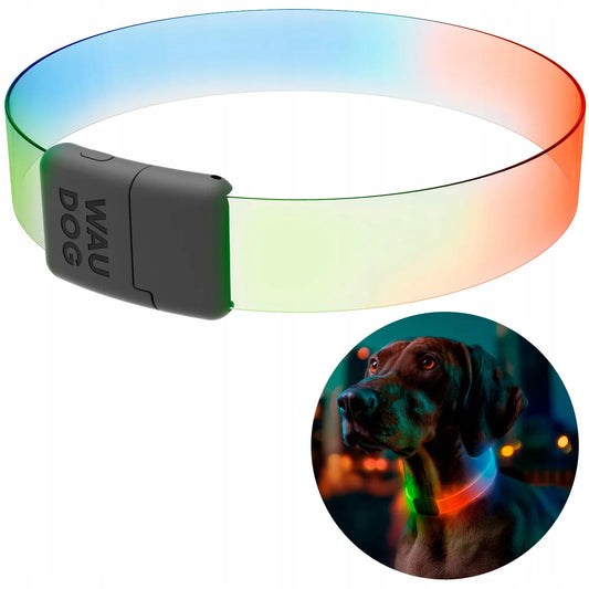 Šviečiantis šuns antkaklis WAUDOG LED RGB, reguliuojamas, iki 60 cm