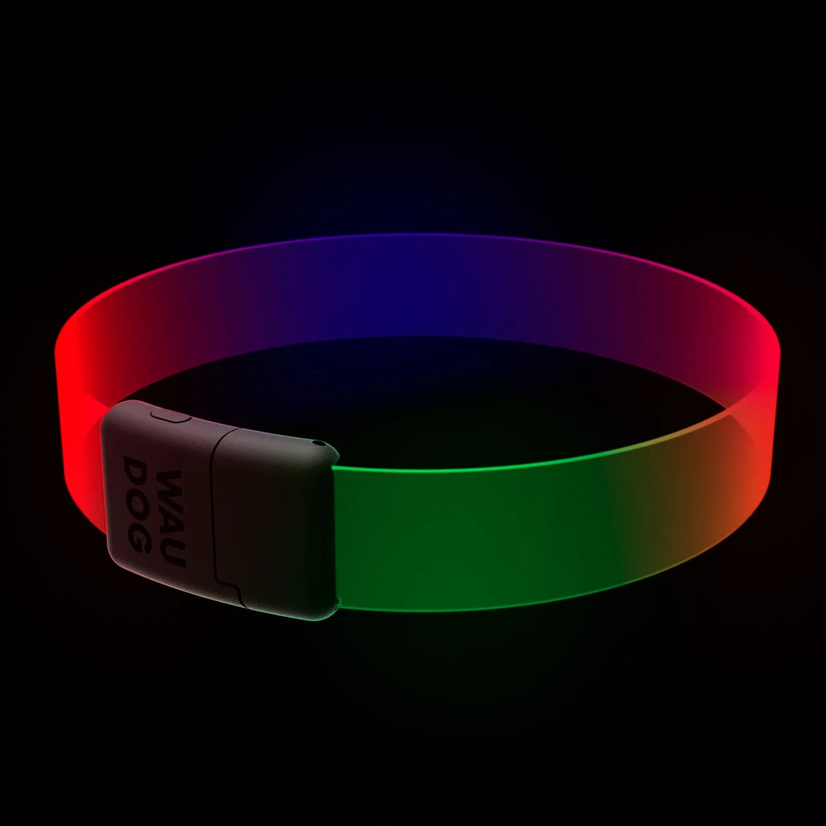 Šviečiantis šuns antkaklis WAUDOG LED RGB, reguliuojamas, iki 60 cm