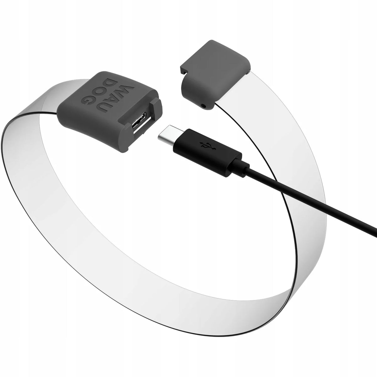 Šviečiantis šuns antkaklis WAUDOG LED RGB, reguliuojamas, iki 60 cm