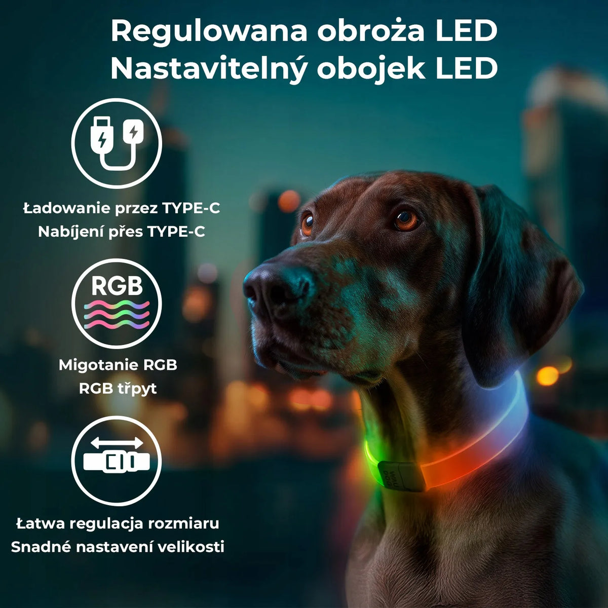 Šviečiantis šuns antkaklis WAUDOG LED RGB, reguliuojamas, iki 60 cm