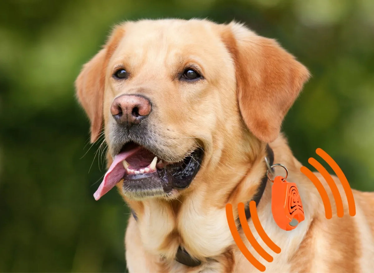 „Tickless Pet“ ultragarsinis prietaisas šunims nuo erkių ir blusų, oranžinis