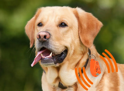„Tickless Pet“ ultragarsinis prietaisas šunims nuo erkių ir blusų, oranžinis