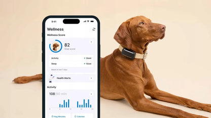 Tractive GPS & Health Dog 6 GPS lokatorius šunims – juodas