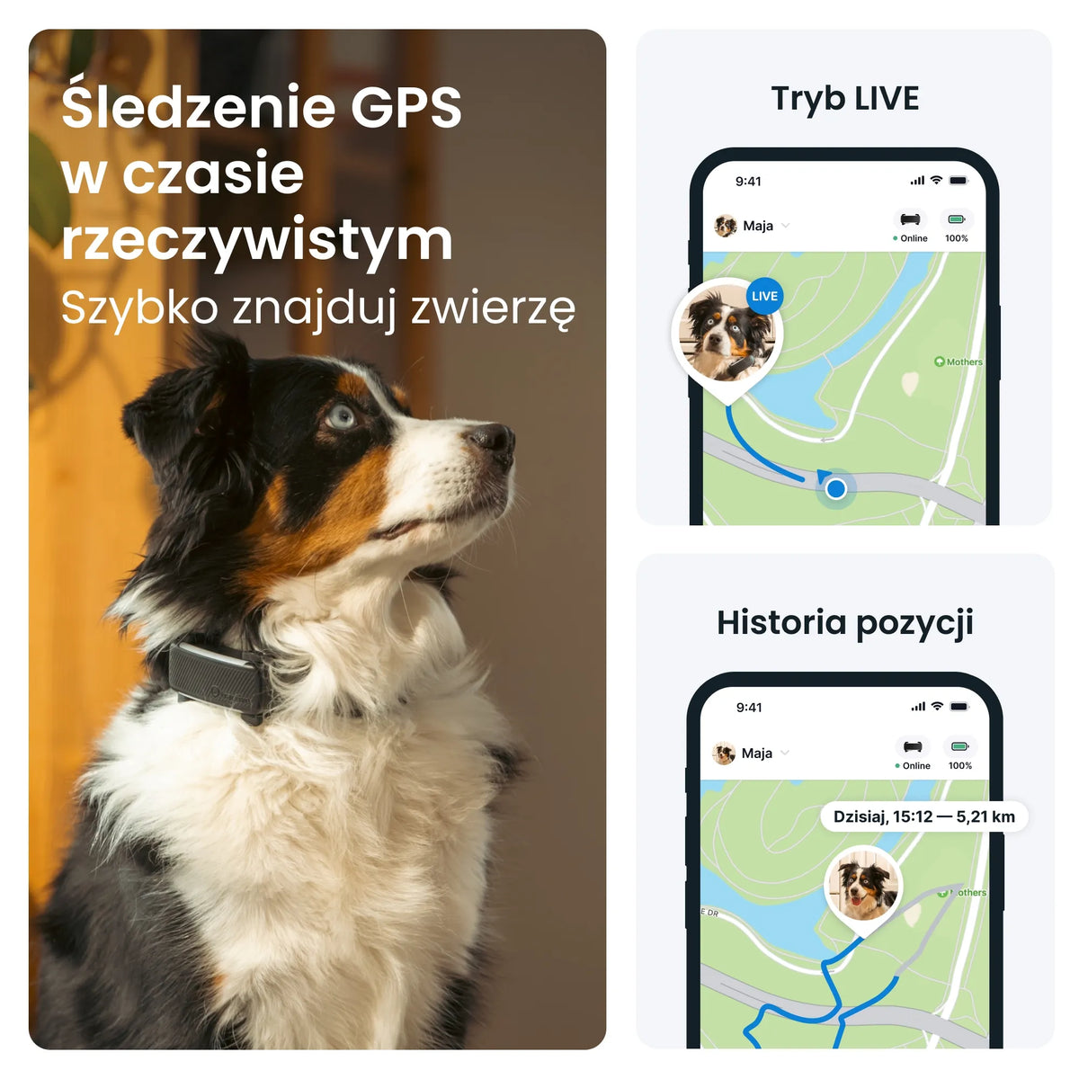 Tractive GPS & Health Dog 6 GPS lokatorius šunims – juodas