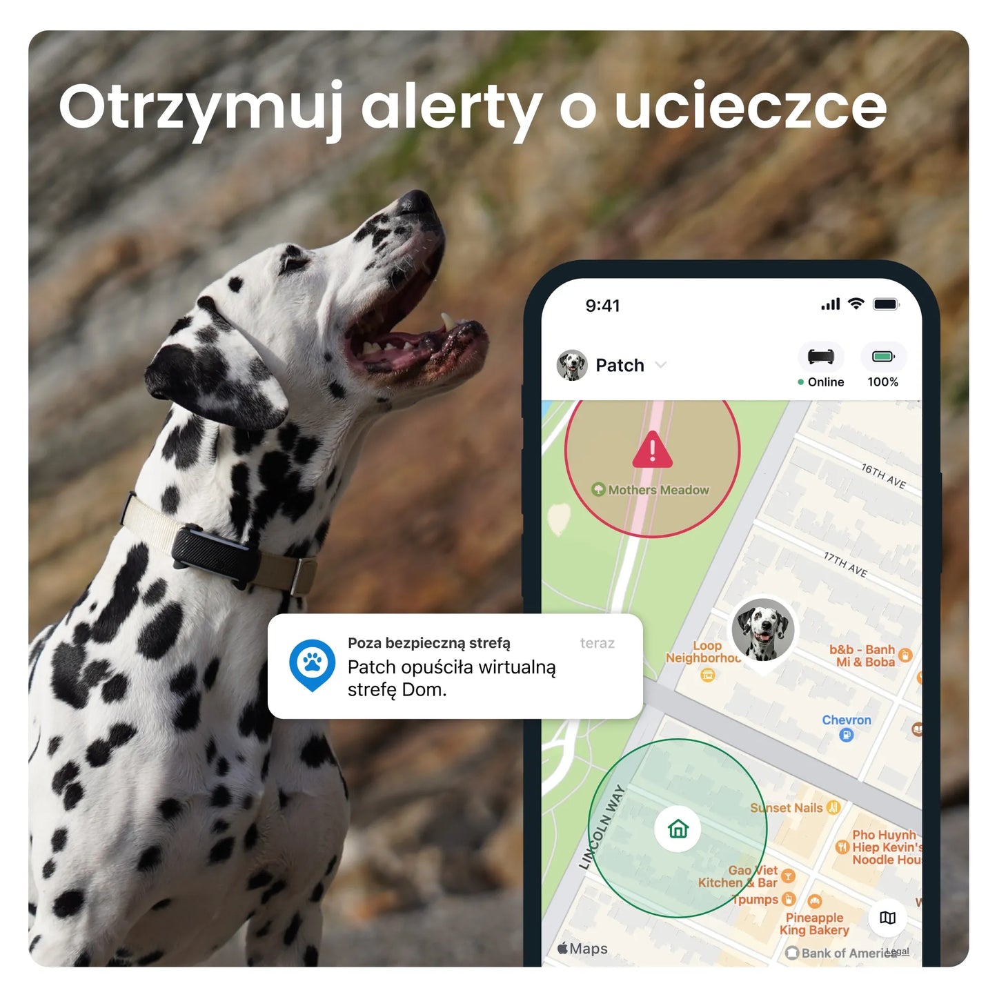 Tractive GPS & Health Dog 6 GPS lokatorius šunims – juodas