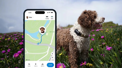 Tractive GPS & Health Dog 6 GPS lokatorius šunims – juodas