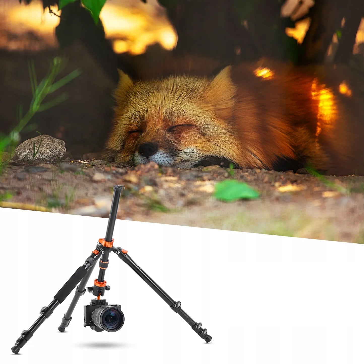 TRIKOJO STOVAS FOTOAPARATUI K&F CONCEPT SA254M2 MONOPODAS 175CM GALVUTĖ 10kg