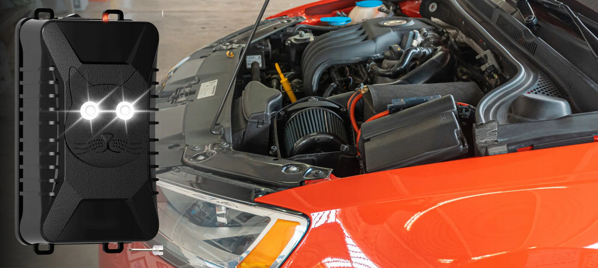 Ultragarsinis automobilių graužikų ir kiaunių atbaidytuvas su baterijomis