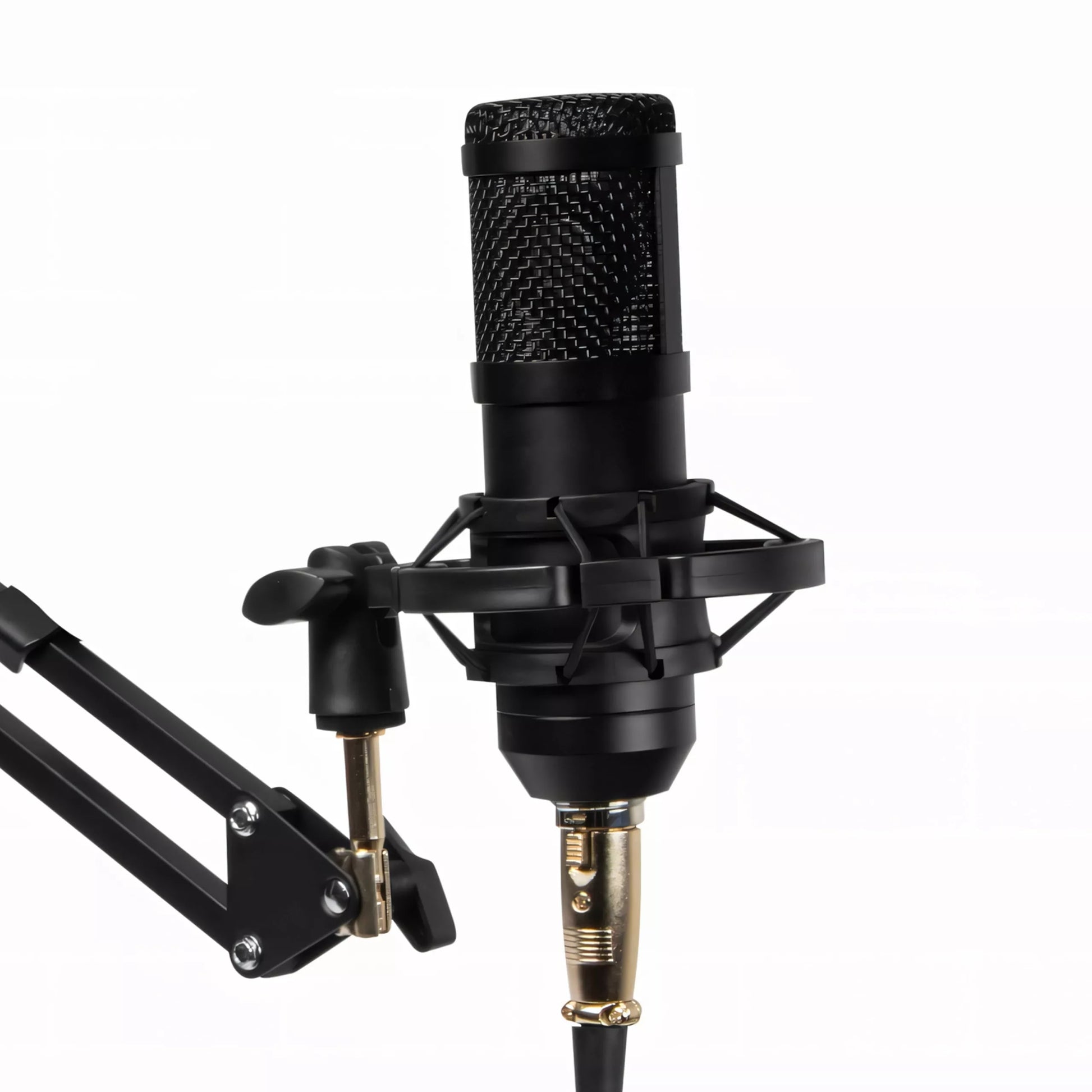USB kondensatorinis mikrofonas žaidimams – su pop filtru ir stoveliu