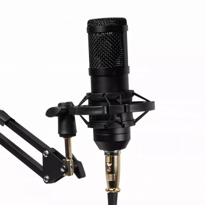 USB kondensatorinis mikrofonas žaidimams – su pop filtru ir stoveliu