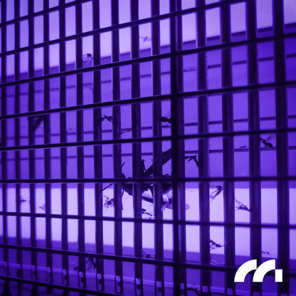 UV vabzdžių gaudyklė nuo uodų ir musių 20W 3800V