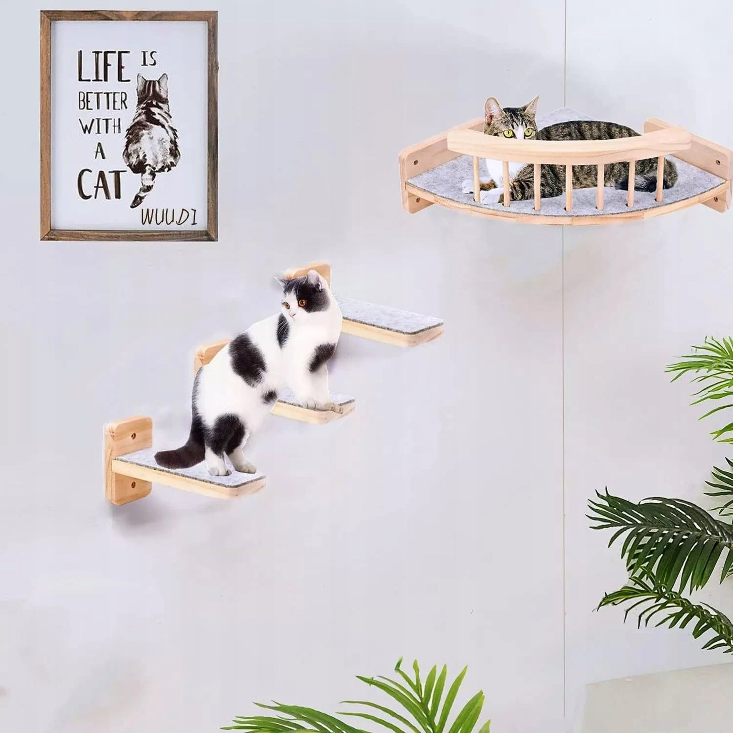 Sienelinis katės namelis su 3 laipteliais, laipiojimo siena ir braižykle