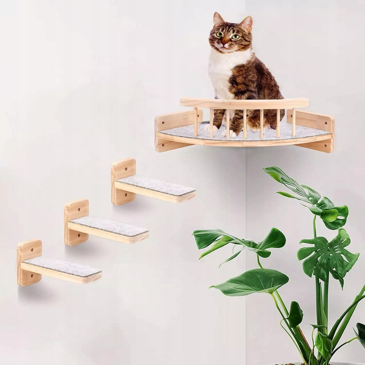 Sienelinis katės namelis su 3 laipteliais, laipiojimo siena ir braižykle