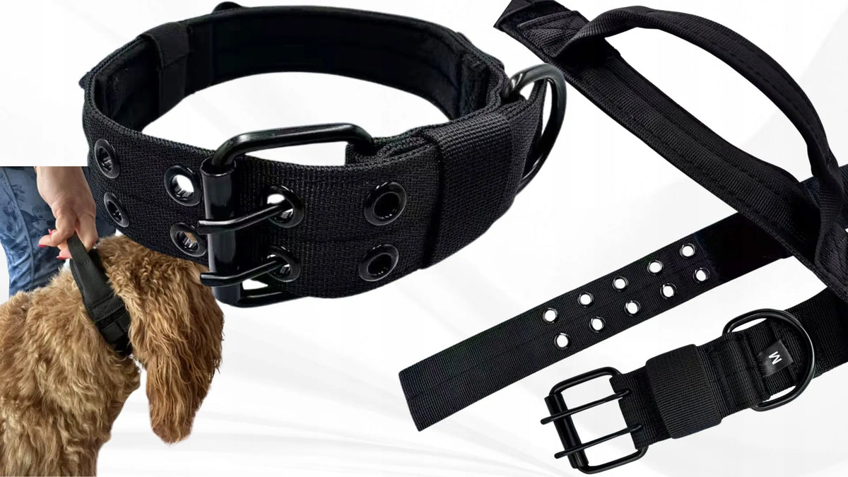 Wobell juodas reguliuojamas šuns antkaklis su rankena, platus ir tvirtas, XL, 54–64 cm